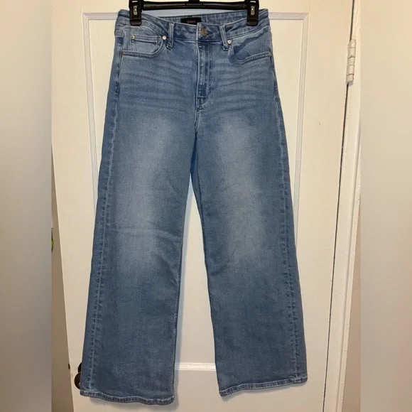 QUINCE Bella Stretch Wide Leg Jeans Frosted Blue Wash Sz 28 Quiet Luxury - Picture 3 of 6